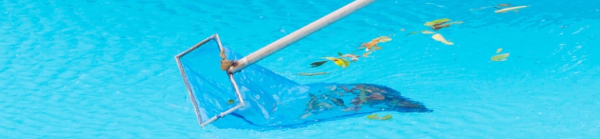 Poolreinigung