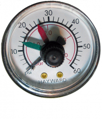 Hayward Manometer mit hinterem Abgang 0,25"